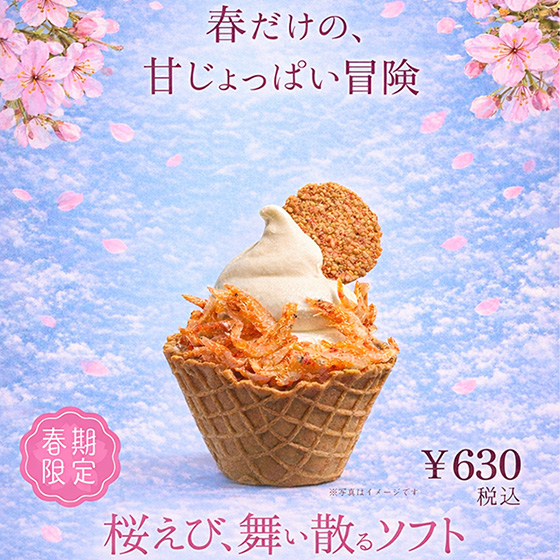 おしらせイメージ写真